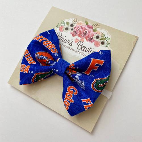 Florida Gators Bow: College Team Fabric Hair Clip or Headband