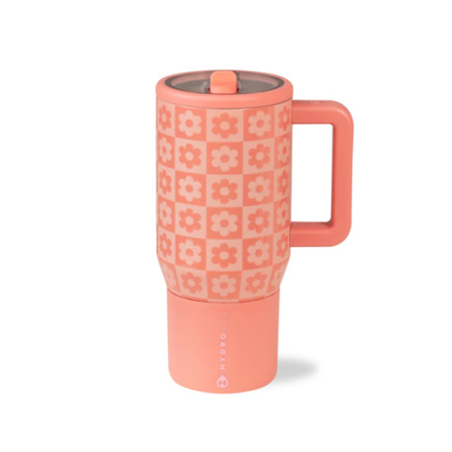 HydroJug Traveler 20oz – Daisy Checkers Kids Insulated Tumbler