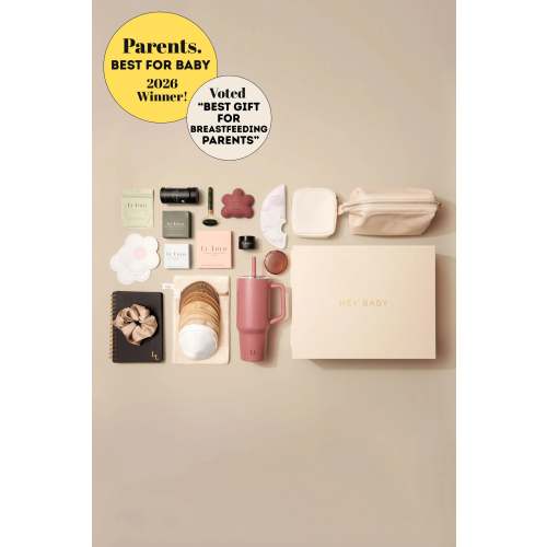 The Ultimate Breastfeeding Set in Mauve