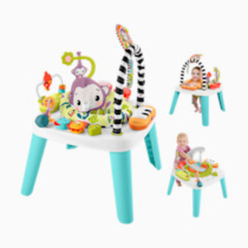 Fisher-Price 2 in 1 Purple Monkey Musical Activity Center