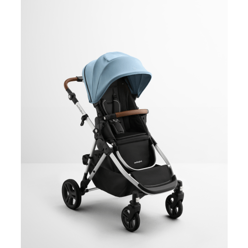 Single-to-Double Stroller 3.0
