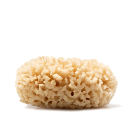 Natural Sea Wool Bath Sponge – Farmaesthetics