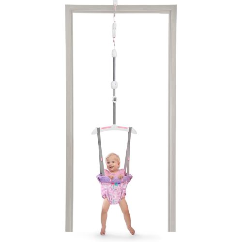 Bright Starts Purple Paradise - Jersey de puerta para bebés de 6 a 12 meses o hasta 26 libras, jersey de viaje