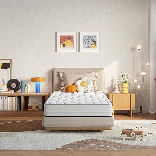 Novilla 6 Inch Twin Mattress,Bonnell Spring Hybrid Mattresses for Spine Support & Cooling Comfort - Twin Bed Mattress,Adaptive Foam Layer with Medium Firm- CertiPUR-US Certified for Youth/Guest Rooms