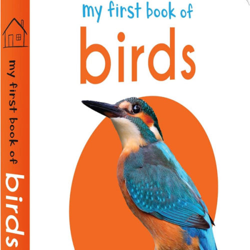 My First Book of Birds: First Board Book
