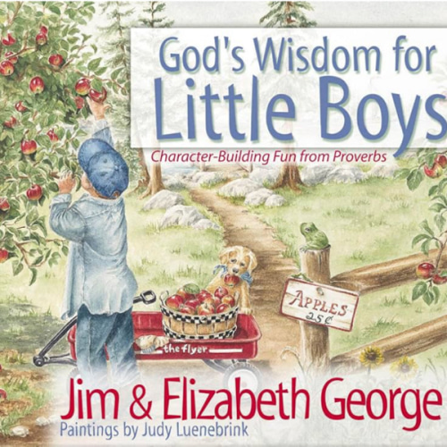 God's Wisdom for Little Boys: Christian Picture Book Building Biblical Character Through Proverbs
