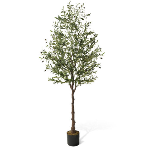 CAPHAUS Artificial Olive Tree with Fruit, Fake Potted Topiary Tree with Dried Moss, 5 / 6 / 7 Feet & Reviews | Wayfair