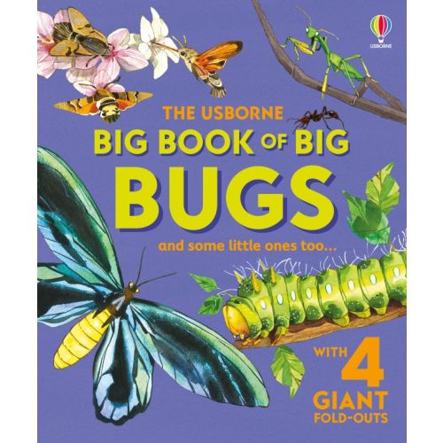 Big Book of Big Bugs | Usborne | Be Curious