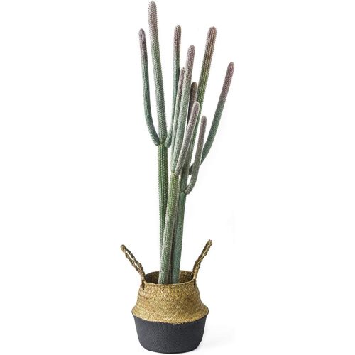 NCYP 4ft (48 Inch) Tall Artificial Cactus in Plastic Planter with Seagrass Basket - Faux Small Saguaro Cacti Potted for Home, Room, Office, Indoor Farmhouse Floor Decor, Fake Plants