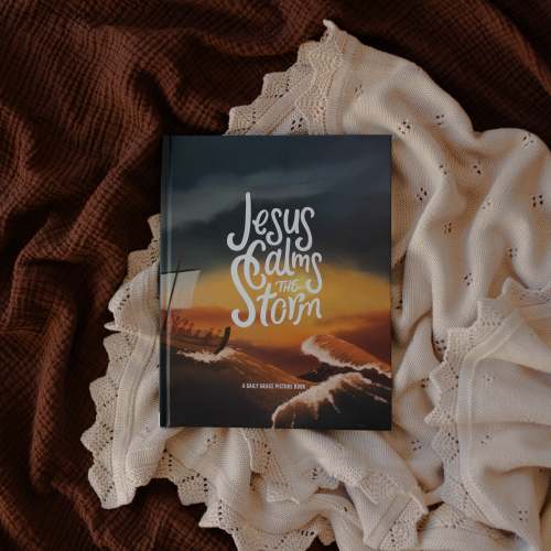 Jesus Calms the Storm | TDGC – The Daily Grace Co.