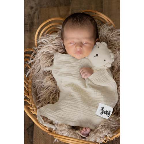 Lion of Judah Blankie – OUR HOUSE ABOVE