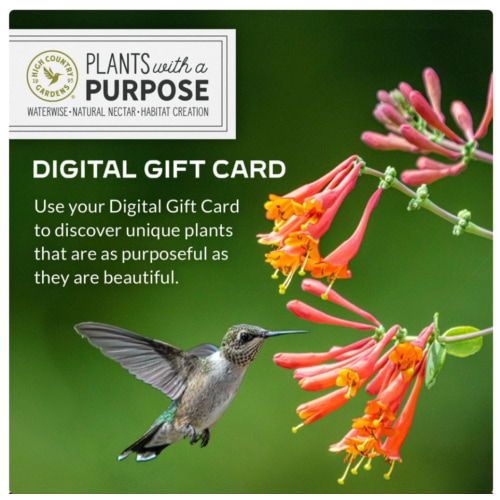 High Country Gardens e-Gift Card – The Perfect Gardening Gift