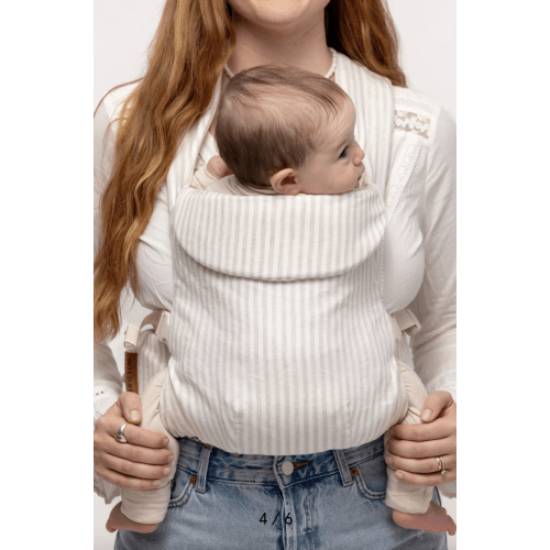 Swan - Aerial Carrier – WildBird