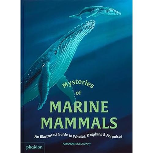 Mysteries of Marine Mammals: An Illustrated Guide to Whales, Dolphins, and Porpoises