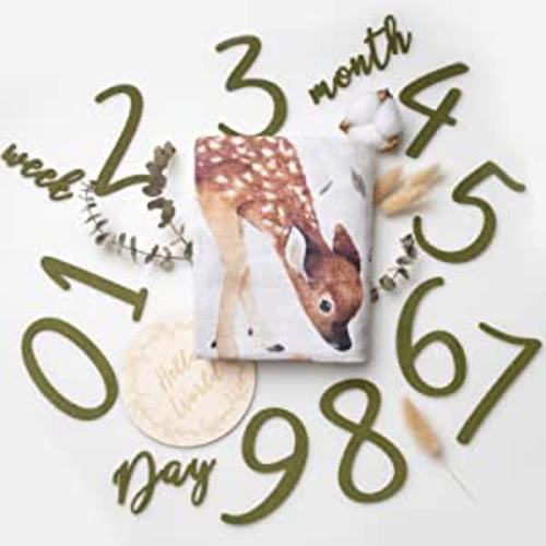 Amazon.com: Miaoberry Woodland 100% Organic Cotton Muslin Milestone Blanket : Baby