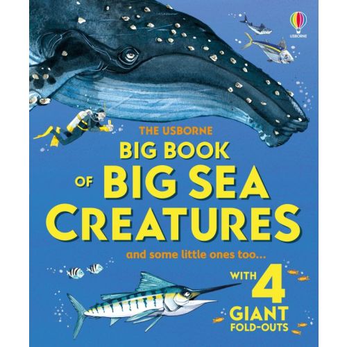 Big Book of Big Sea Creatures | Usborne | Be Curious