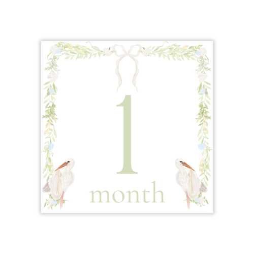 Baby Milestone Cards, Stork Milestone Cards, Gender Neutral Milestone Cards Printed