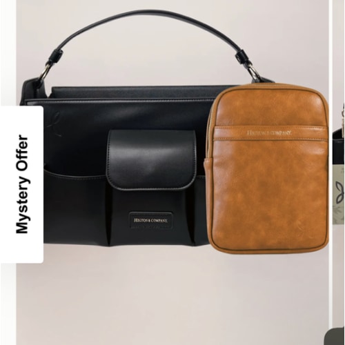 Mini Mae + Caddy Bundle