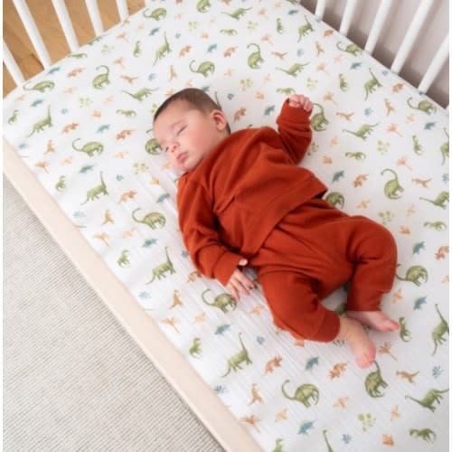 Dino Jungle Cotton Muslin Crib Sheet | aden + anais
