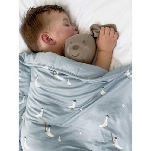 Cloud Blanket - 0.5 TOG - baseball goose