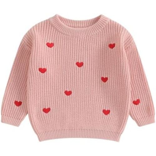Infant Toddler Baby Girl Knit Sweater Long Sleeve Floral Embroidery Pullover Sweatshirt Warm Fall Winter Clothes