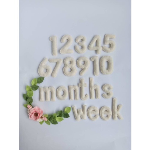 Baby Milestone Numbers, Baby monthly milestone blocks, Countdown Numbers, Baby Month Tracker, Children's photo props