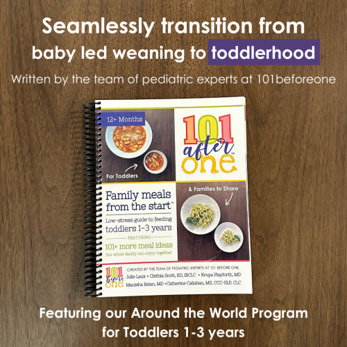 101 after one Printed Book for Feeding Toddlers