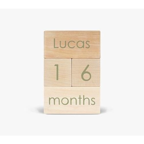 Modern Blocks Milestone Block Set, Moss