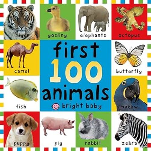 Big Board First 100 Animals (First Words)