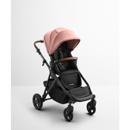 Single-to-Double Stroller 3.0