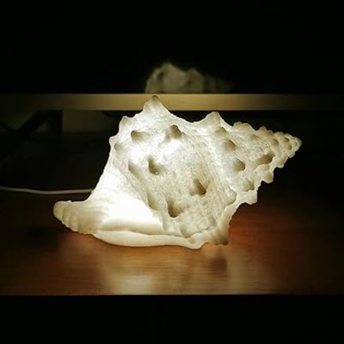 Conch Shell Night Lights USB Powered LED Night Light Sea Shell Lamps Beach Themed Seashell Decor Nightlights for Kids Adults Bedroom Nightstands Desktop Bedside,Warm White,Sandstone Material