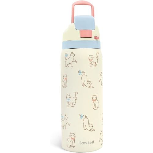 SANDJEST Chill Cat Stainless Steel Push-Button Water Bottle, 32oz