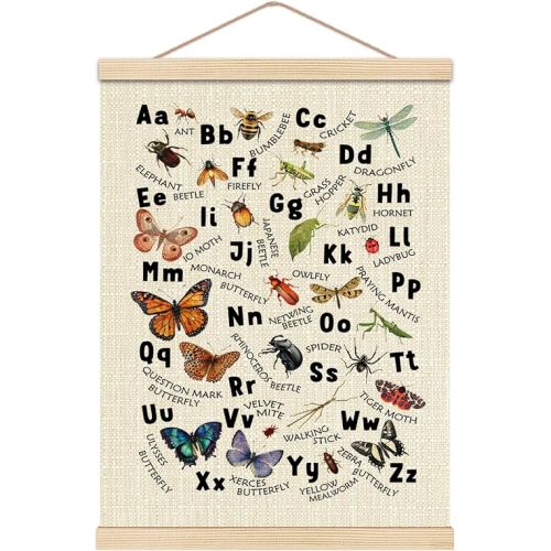 Insect Alphabet Wall Decor