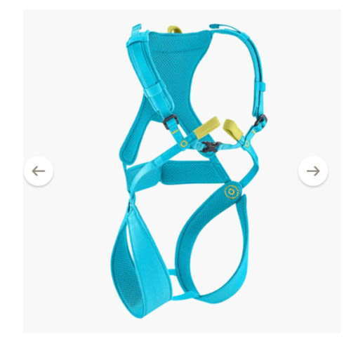 Edelrid Fraggle III Harness - Kids' | REI Co-op