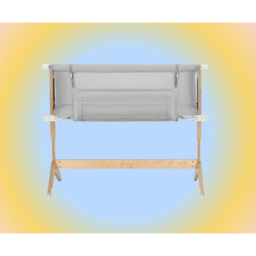 Secondhand Bassinet = $100