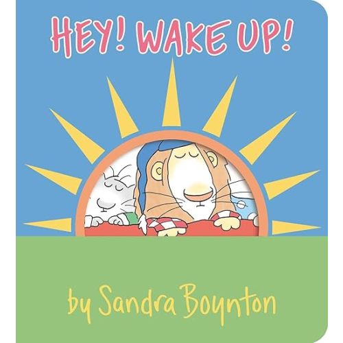 Hey! Wake Up! (Boynton on Board)