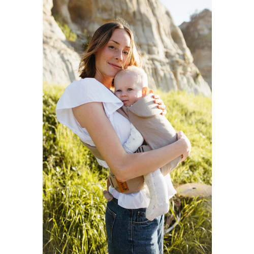 Desert Lark - Aerial Carrier – WildBird