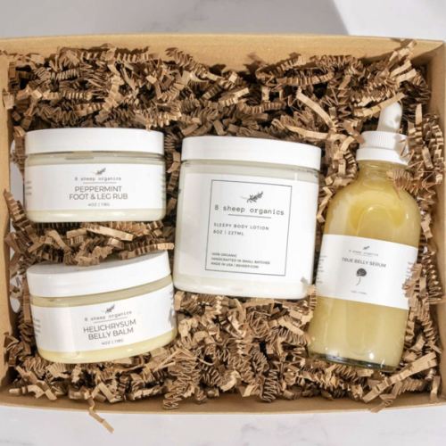 The Pregnancy Survival Kit