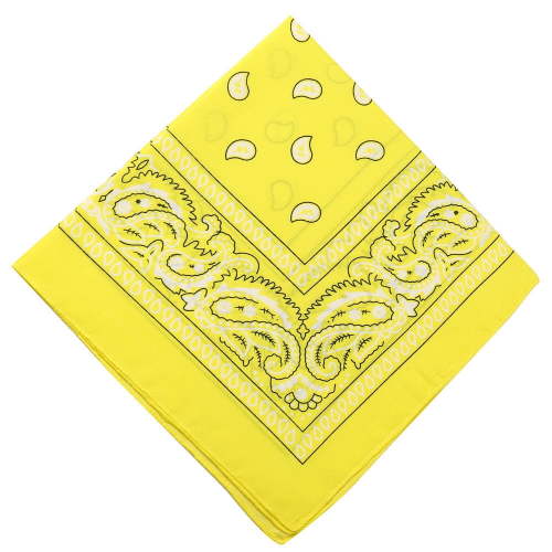 Blukids Multi-Purpose Cotton Paisley Cowboy Bandanas Headband for Men and Women（Gold）