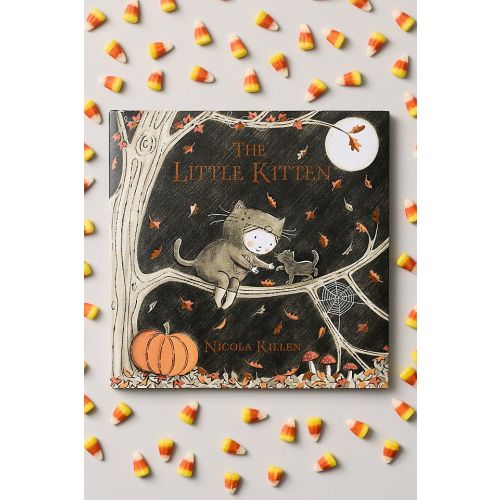 The Little Kitten Hardcover Kids Book