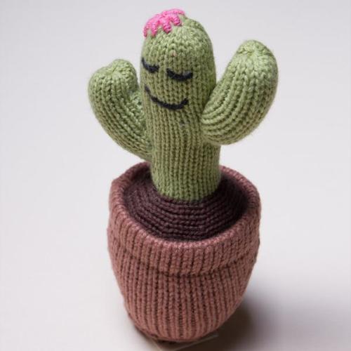 Shop Organic Cactus Rattle - Baby Toys | Estella