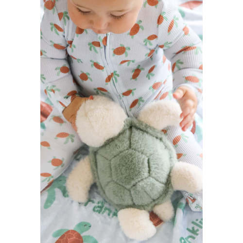 Large Cuddle Plush Friends in Splash Sea Turtle | Caden Lane