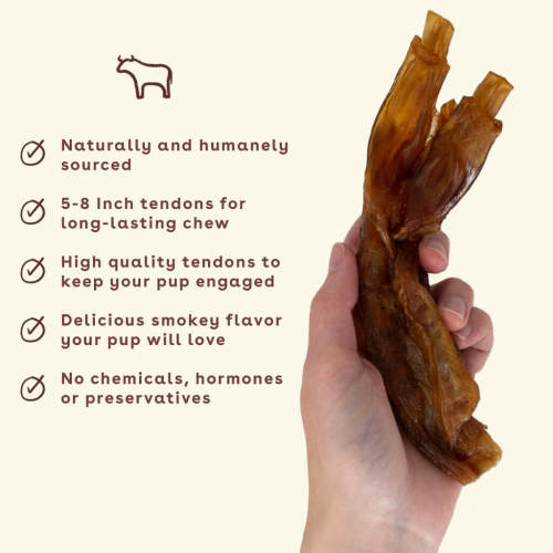 Turbo Tendon Dog Chew (6 pack)