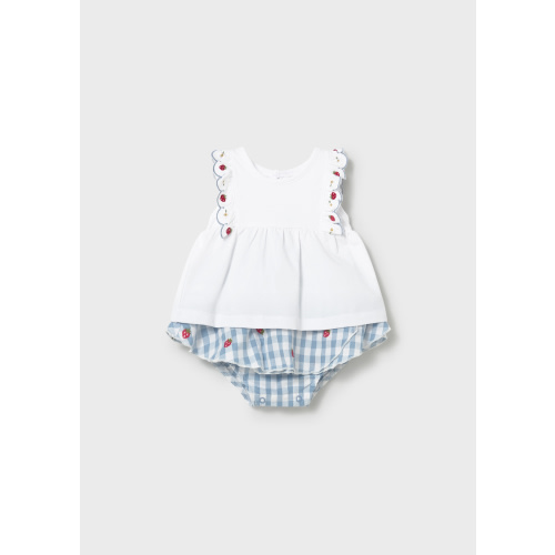 Newborn Girl Gingham Skirt and T-shirt Set