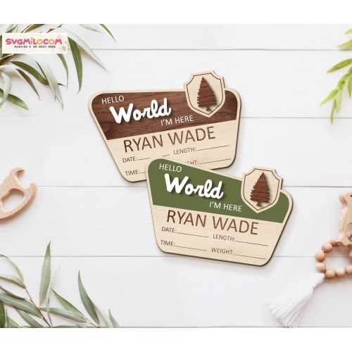 Baby Announcement With Birth Stats, National Park Baby Name Sign, Custom Newborn Reveal Sign, Woodland Nursery Decor, Newborn Photo Prop