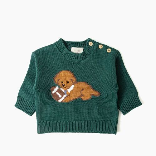 Picolette by Olivia Culpo Baby Boys' Oliver Dog Long Sleeve Crewneck Pullover Sweater - Green 3-6M
