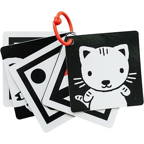 Black and White Baby Toy, Tummy Time Toys, High Contrast Montessori Flashcards with Stroller Clip, Set of 6, Easy to Clean, Wipeable Pages, Infant and Baby Toys 0-6 Months, Non-Toxic