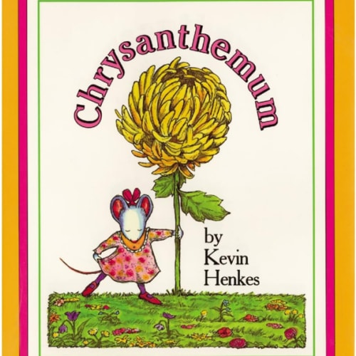 Chrysanthemum