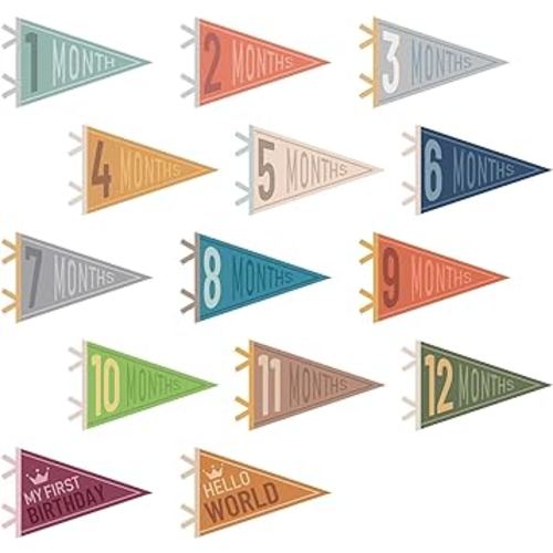 VitalCozy 14 Pcs Baby Milestone Pennant Signs Monthly Milestone Banner Flags Pennant Triangle Banner Age Flag Signs for Boy Girl Newborn Birthday Party Decor(Classical Color)