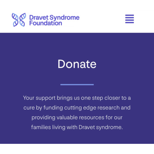 Donate - Dravet Syndrome Foundation